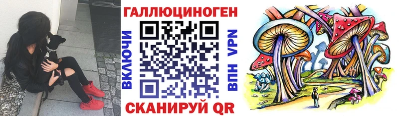 Псилоцибиновые грибы мухоморы Шадринск