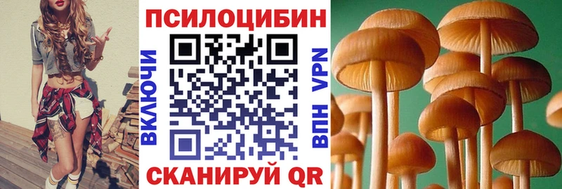 Галлюциногенные грибы прущие грибы  Купить где  Шадринск 