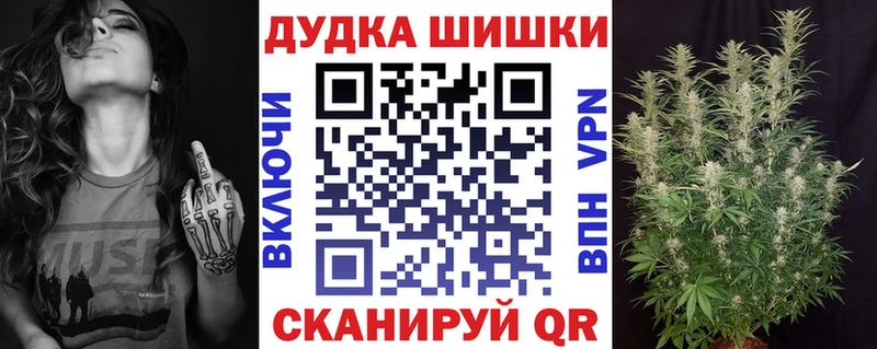 Купить где  Шадринск  Канабис SATIVA & INDICA 